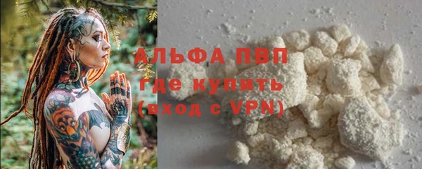 стафф Гатчина