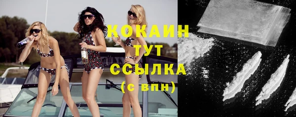 молекула духа Гвардейск