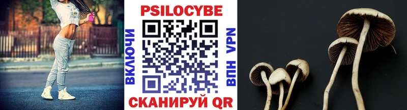 Псилоцибиновые грибы GOLDEN TEACHER  Котельники 