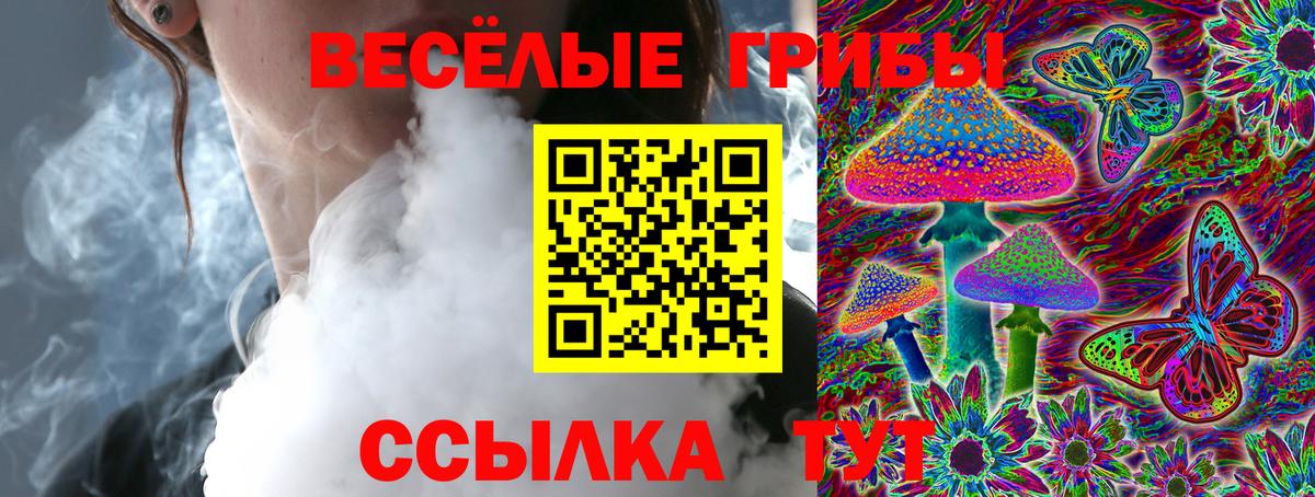 Галлюциногенные грибы MAGIC MUSHROOMS Котельники