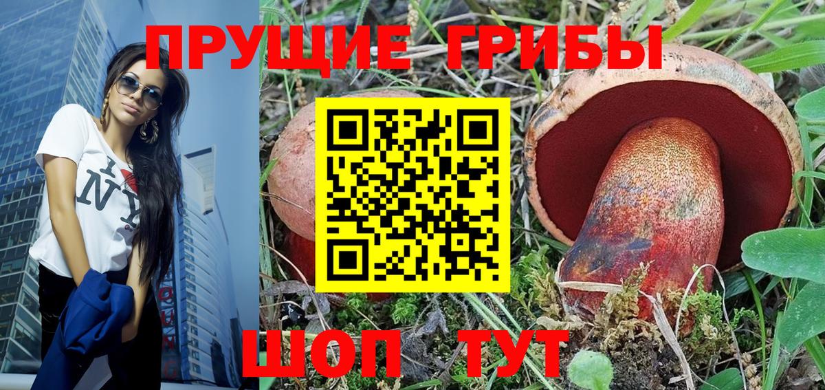Галлюциногенные грибы прущие грибы  Вход с VPN  Котельники 